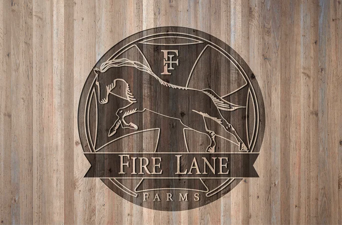 TriFide Labs - Porfolios 2